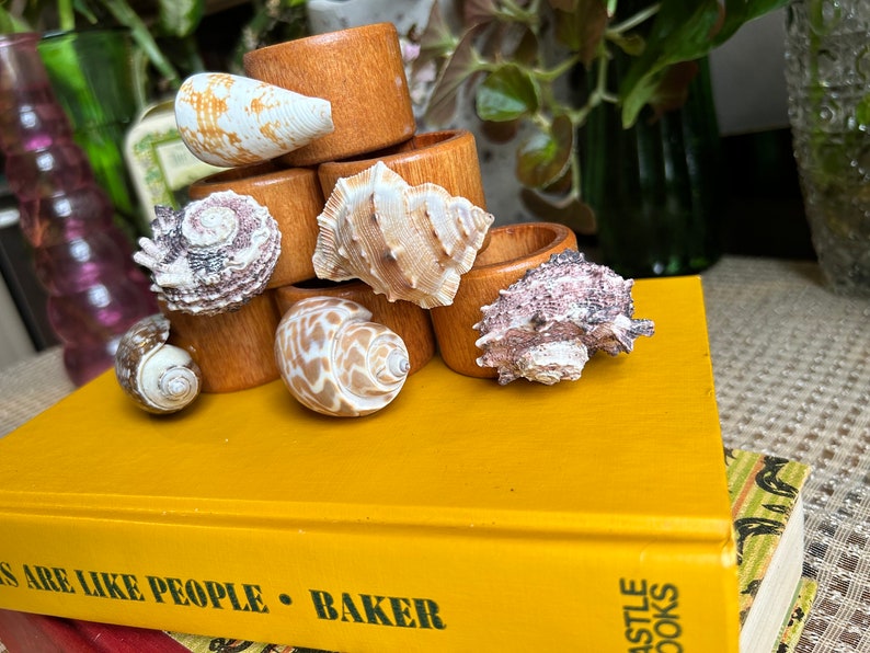 Set of 6 Seashell Napkin Rings - Etsy
