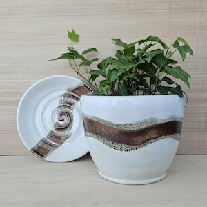 May include: A white ceramic planter with a brown, textured band and a matching saucer. The planter holds a green ivy plant. The saucer has a spiral design with brown accents. A decorative item for home decor.
