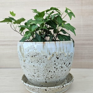 Może przedstawiać: Ceramiczna donica w nakrapianym, kremowym wykończeniu z pasującym spodkiem. Górna krawędź ma białą glazurę z brązowymi kroplami. Donica zawiera zieloną roślinę bluszczu, dla dekoracji.