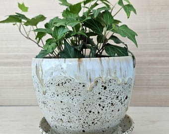 Winter Wood Light Planter with Saucer – Handmade Ceramic Plant Pot – Wheel Thrown Stoneware Planter – Rustic Speckled Pottery