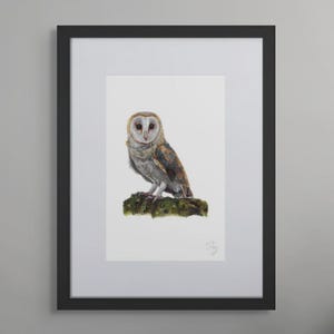 Framed Barn Owl Art Print: British Wildlife Illustration