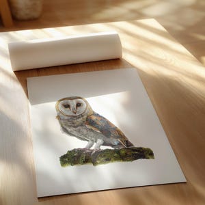 Barn Owl Print: Hand-Drawn British Wildlife Illustration, A4 Wall Art
