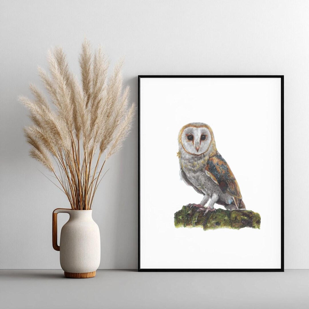 Barn Owl Framed Wall Art Print Grey Background – Hand-drawn Artwork ...