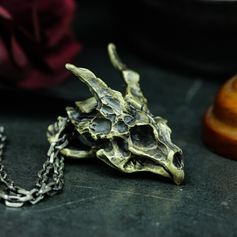 May include: A silver chain necklace with a detailed dragon skull pendant made of brass. The skull has a textured surface and is a dark bronze color.