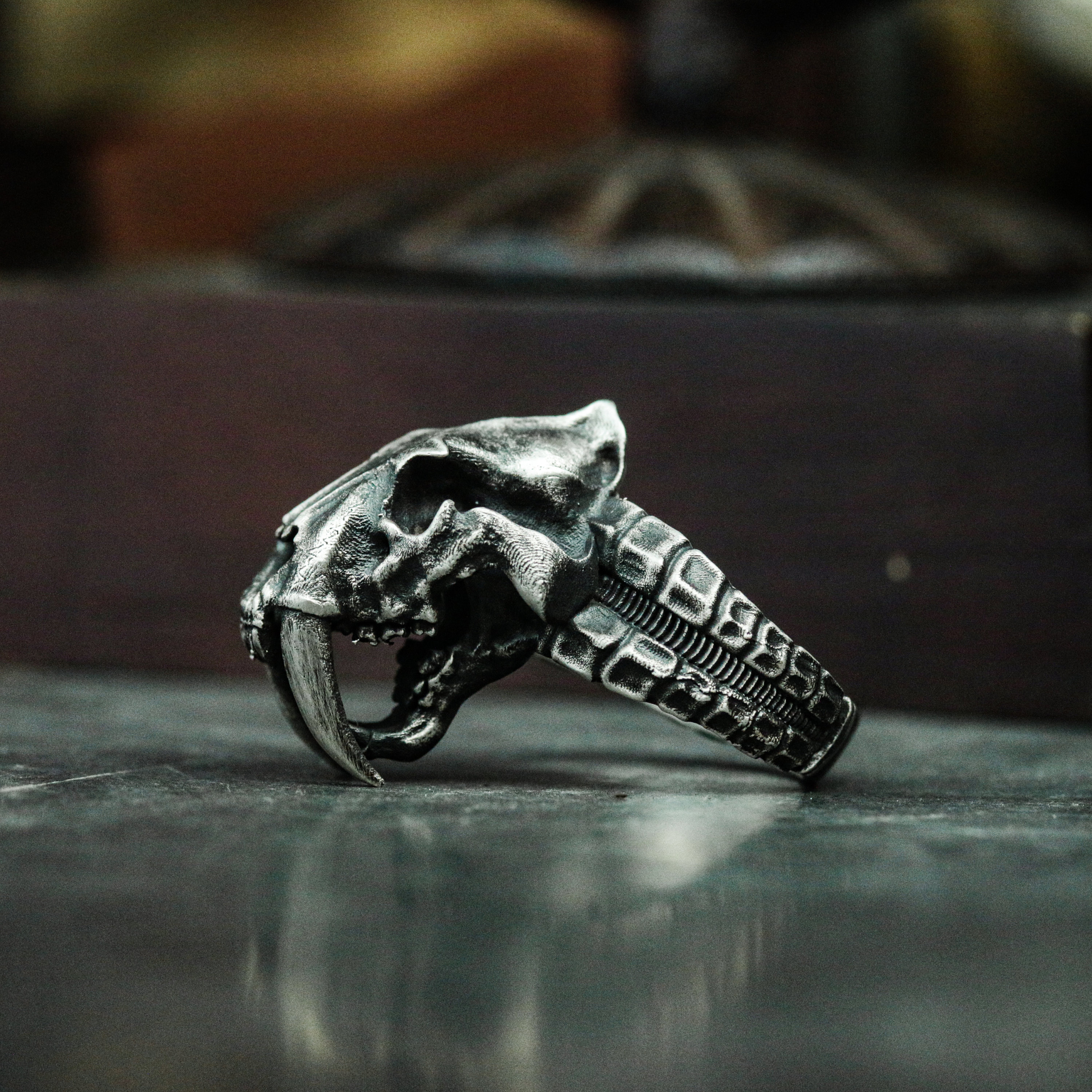 Saber tooth tiger ring outlet