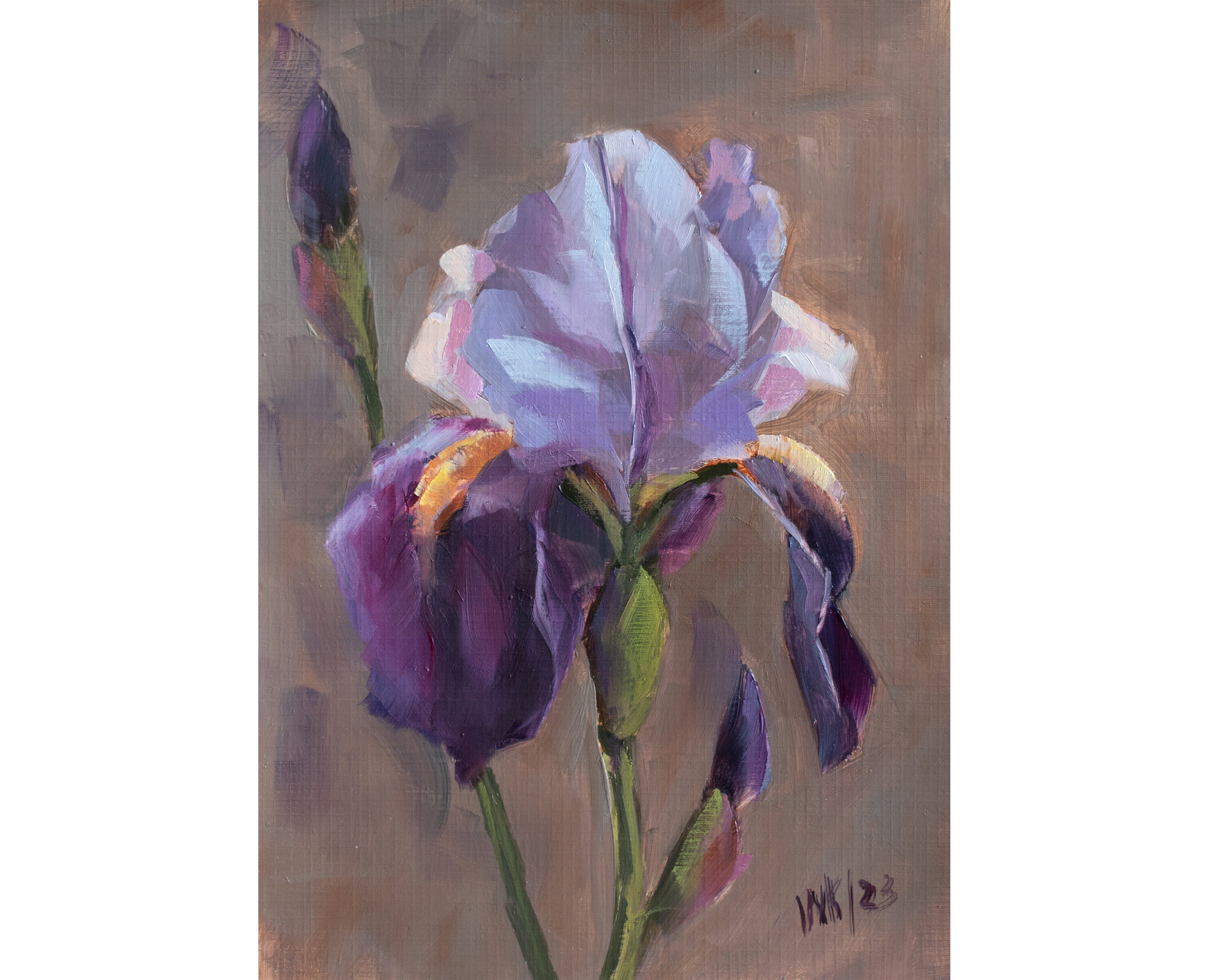 Purple Iris Oil Painting on Canvas: Floral Impressionism Art - Etsy