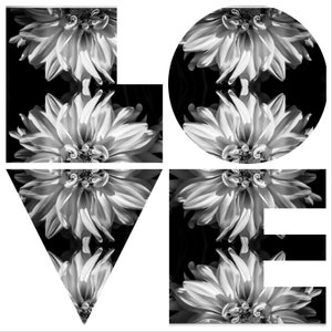 Floral Wall Art