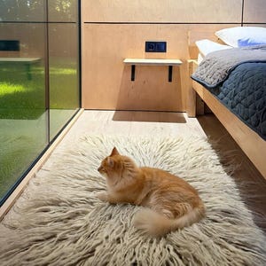 Puede incluir: Un gato atigrado naranja descansando sobre una alfombra de pelo largo de color crema en una habitación con paredes de madera y una cama. La cama tiene una manta acolchada azul oscuro y almohadas blancas. Una pequeña mesita de noche de madera está unida a la pared.