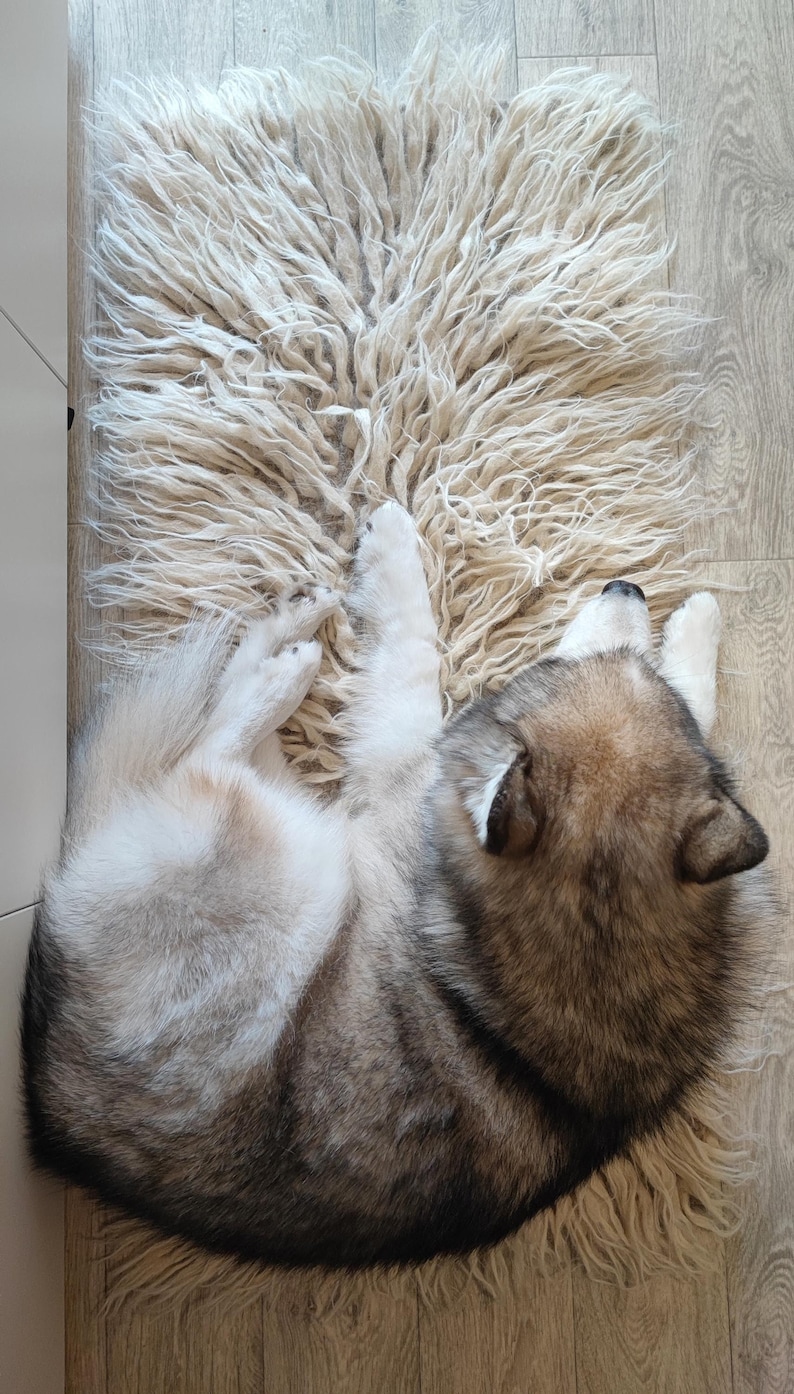 Handmade Ivory Rug, Traditional Weaving Wool Carpet, Fluffy Tuft Rug, Unique Accent for Home Decor, Perfect Housewarming or Christmas Gift image 4