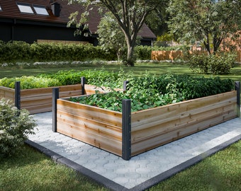 May include: Two raised garden beds made of wood with metal supports. The beds are filled with soil and various plants. The beds are surrounded by a gray stone path.