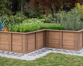 May include: A wooden raised garden bed with two sections, one with green leafy plants and the other with rosemary. The bed is surrounded by small gray stones and green grass.
