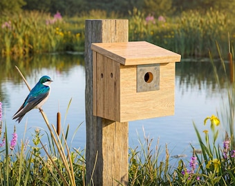 DIY Tree Swallow House Plans PDF