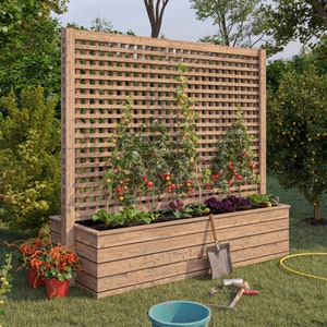Raised Garden Bed With Privacy Screen DIY Plans (PDF)