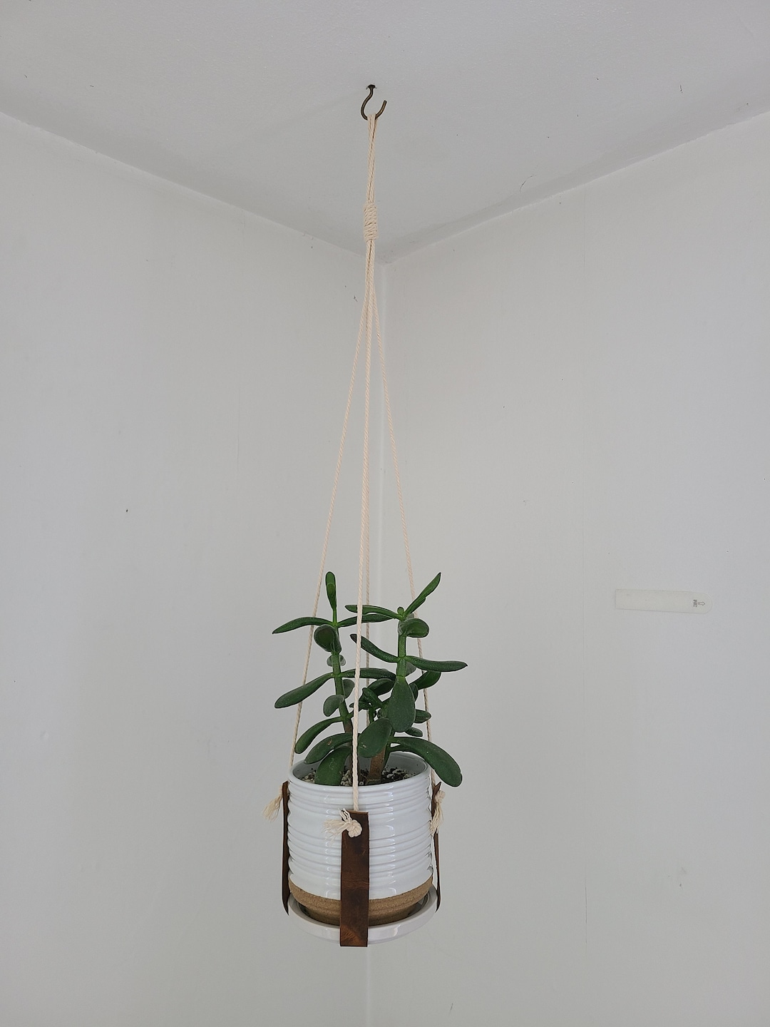 Suspension pour plantes en cuir Su…