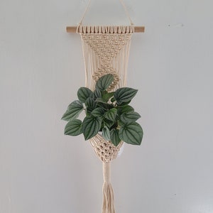 May include: A macrame plant hanger with a wooden dowel at the top and a white tassel at the bottom. A green plant is hanging in the macrame planter.