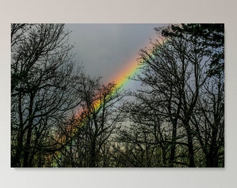 Rainbow Silhouette,Digital Download,Landscape Photography,Oregon,Trees,Printable Wall Art