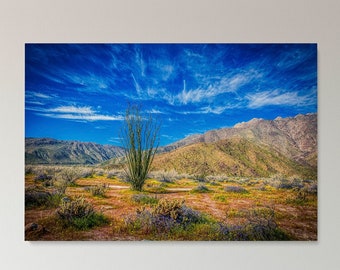 Super Bloom,Digital Download,Printable Wall Art,Landscape Photography,Desert Flowers,