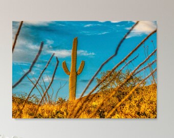 Saguaro Cactus,Digital Download,Printable Wall Art,Desert,Arizona,Landscape Photography