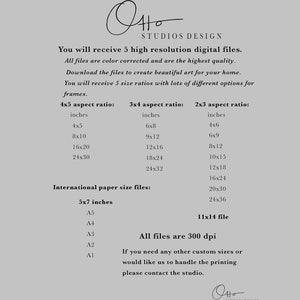 May include: A digital art print size chart with the Otto Studios Design logo. The chart lists various aspect ratios and sizes in inches, including 4x5, 8x10, 16x20, 24x30, 6x8, 9x12, 12x16, 18x24, 24x32, 4x6, 6x9, 8x12, 10x15, 12x18, 16x24, 20x30, and 24x36.