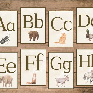 May include: A set of eight alphabet flashcards featuring uppercase and lowercase letters with illustrations of animals. The letters are brown and the animals are in watercolor style. The letters are A, B, C, D, E, F, G, and H.