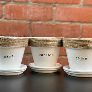 Hand-Painted Herbs Plant Pot and Saucer - Set of 3 Herbs