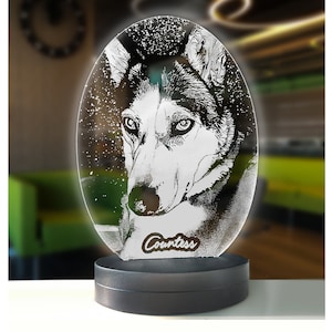 Kundenspezifische 3D-Hundefotolampe, personalisiertes Fotolicht, Haustier-Gedenklampe, Haustierliebhabergeschenke, 3D geführtes Nachtlicht, kundenspezifische geführte Schreibtischlampe