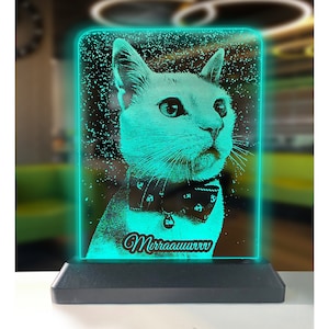Cat Led Night Light, 3D Illusion Table Lamp For Animal Lovers. Acrylic Light Home Decor Lamp Gifts for Her