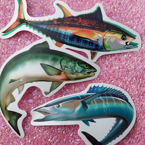 Autocollants de pêche 3 pcs - Poissons carnassiers