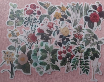 Flower sticker set - 271222-001