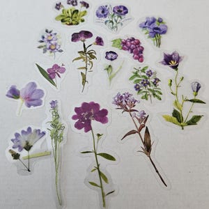 Set lila transparente Blumenaufkleber - Bullet Journal - Planeraufkleber 1903