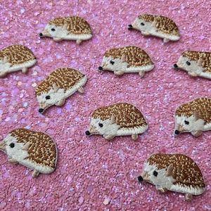 Op de afbeelding: Een verzameling geborduurde egelpatches. Elke patch heeft een bruin en crèmekleurig egelsontwerp met een gedetailleerde textuur. De patches zijn gerangschikt op een roze glitteroppervlak, geschikt voor knutselen of versiering.