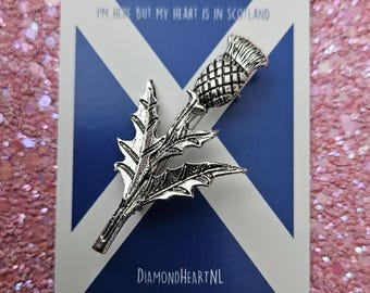 Brooch, pin Scotland - Thistle flower
