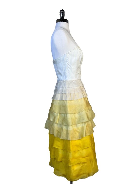 1960s Organza Tiered Dress Jeane Scott by Margot - image 3