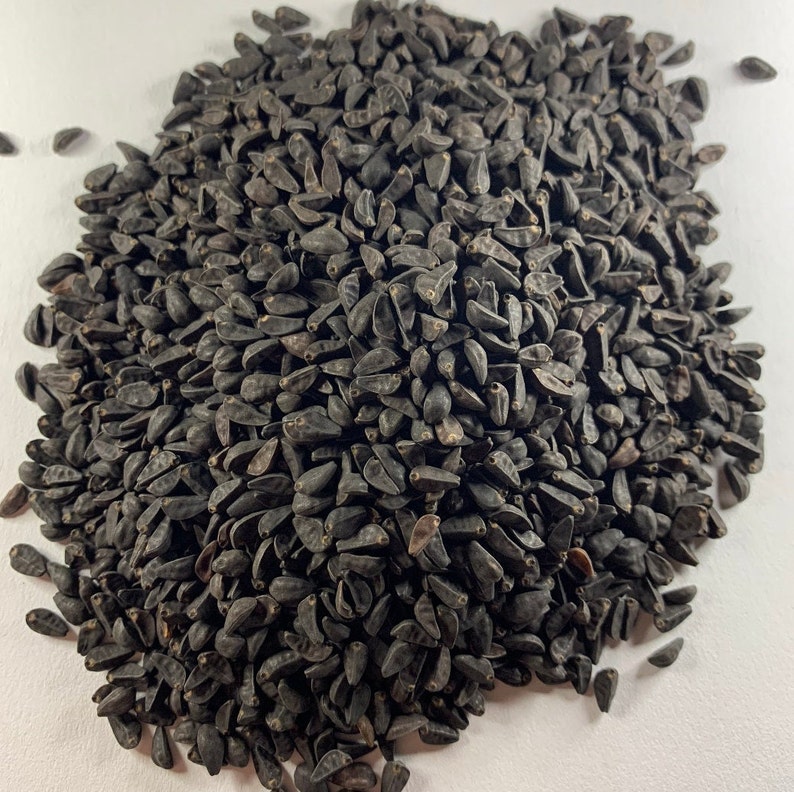 May include: A close-up view of a pile of black nigella seeds. The seeds are small and oval-shaped, with a slightly wrinkled texture.