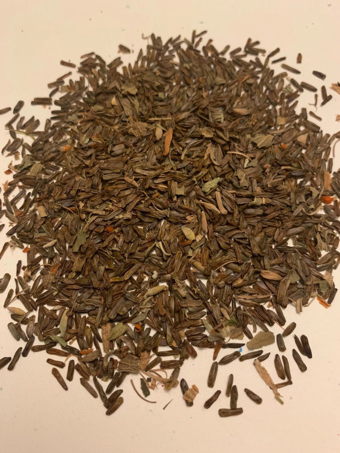 WILD DAGGA Seeds free Shipping Fresh & Organic Lions Tail / Etsy