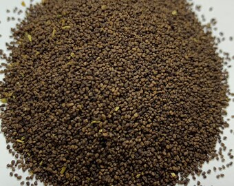 tobacco seeds for sale amazon GOLDEN BURLEY Tobacco Seeds *FREE Shipping* Fresh & Organic Nicotiana  Tabacum, Burley, Kentucky Tobacco, Virginia Tobacco - Plant Seeds Bulk