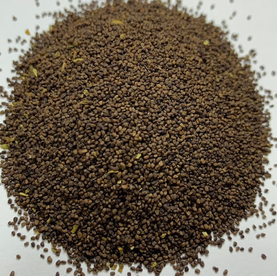 where can i buy tobacco seeds near me GOLDEN BURLEY Tobacco Seeds *FREE Shipping* Fresh & Organic Nicotiana  Tabacum, Burley, Kentucky Tobacco, Virginia Tobacco - Plant Seeds Bulk