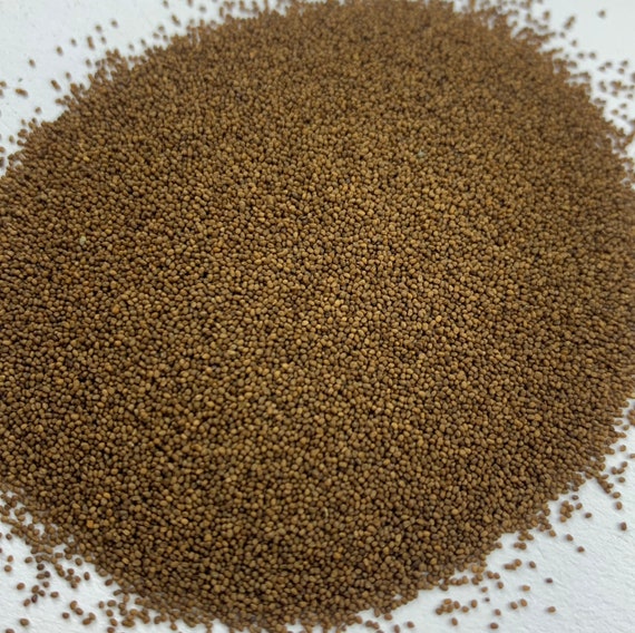PERIQUE TOBACCO Seeds *FREE Shipping!* Fresh & Organic Nicotiana Tabacum,  Oriental Tobacco, Louisiana Tobacco Plant Seeds Bulk