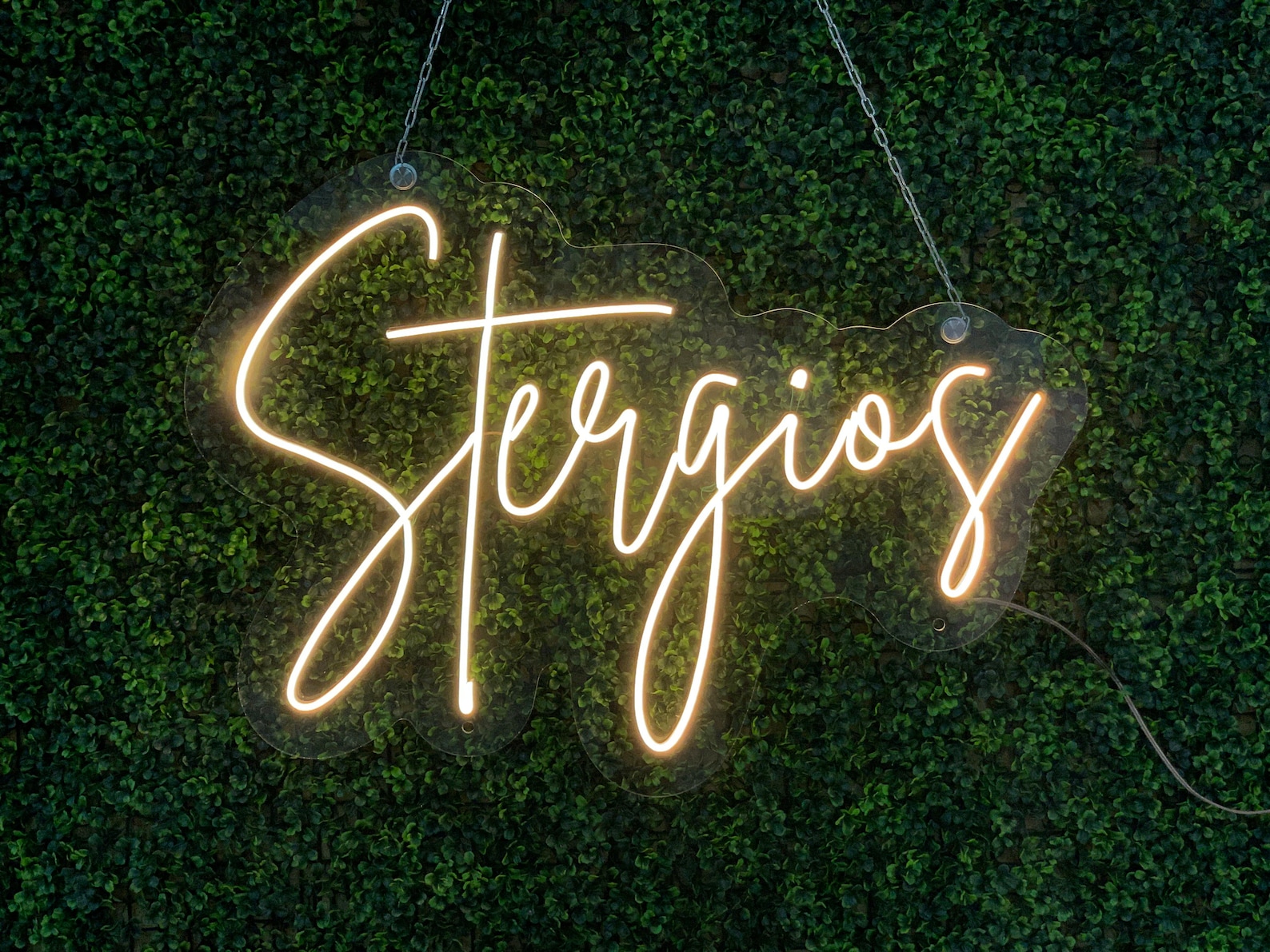 Neon Signs / Custom Neon Sign / Personalized neon sign / Party Etsy