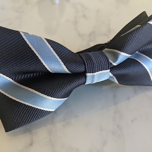 Blue Striped Bow Tie