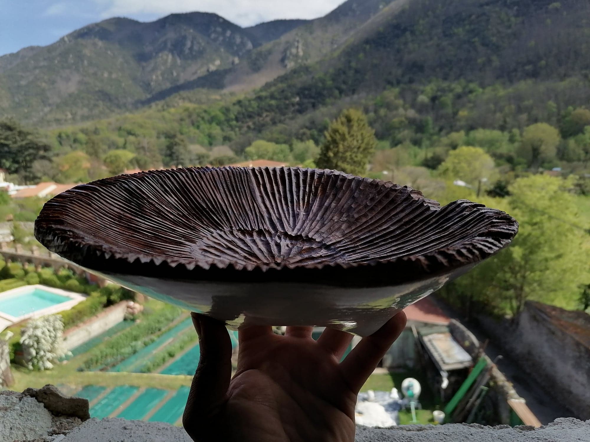 Un Beau Bol Sculpté à La Main