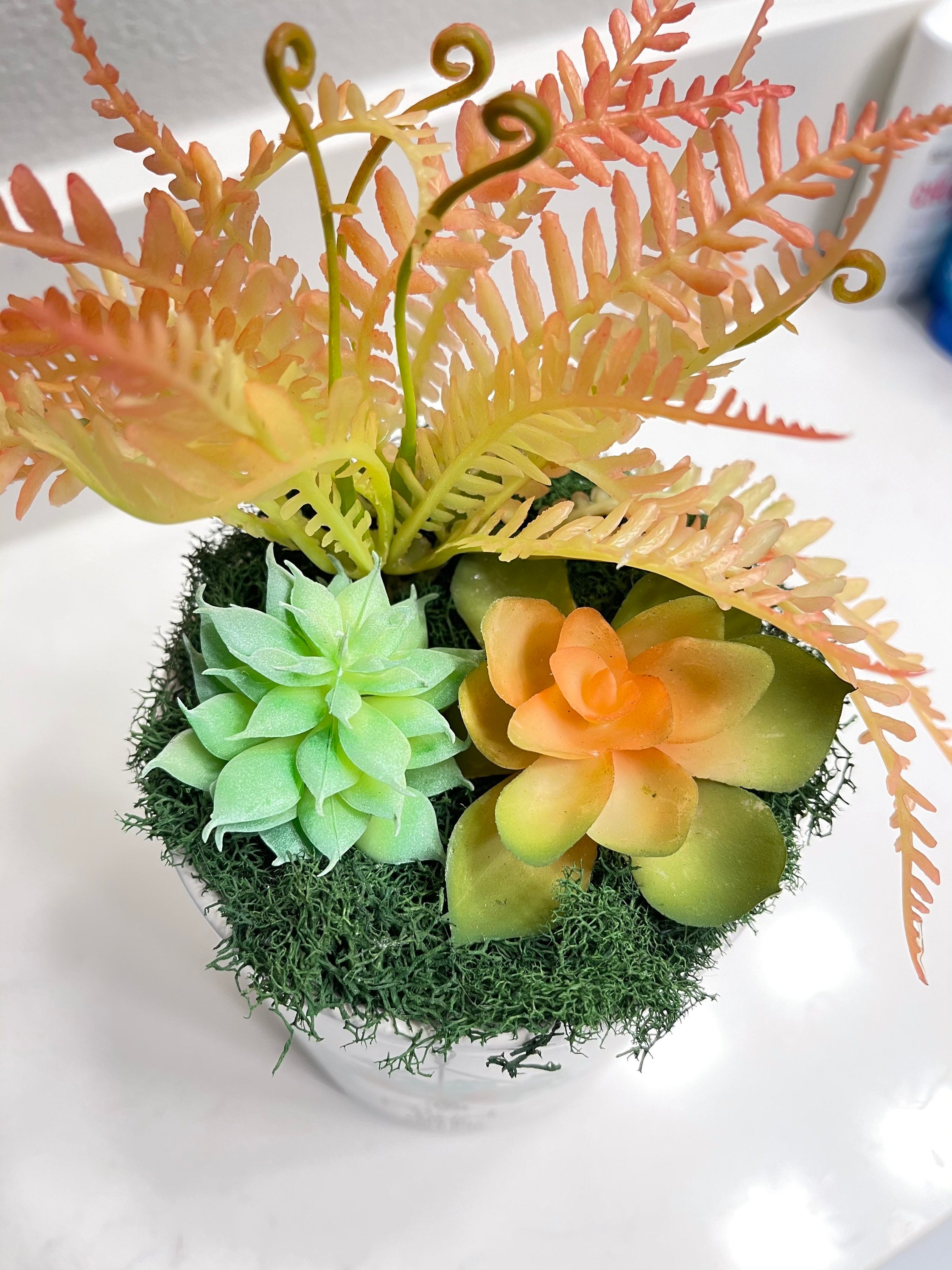 Faux Succulent Arrangement in 5 plant One on Me Planter Etsy UK