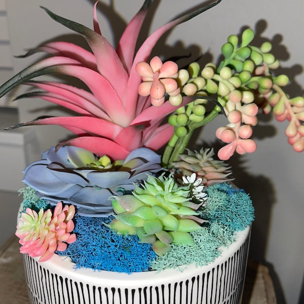 Faux Succulent in Black Pot Etsy