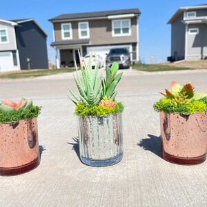 Set of three faux succulent arrangements in glass votives, two silver one rose gold.