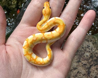 Pitone reale in miniatura / figurina / scultura / ciondolo a forma di serpente / replica / regalo