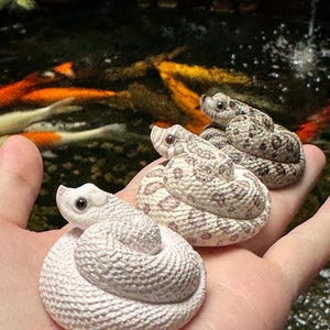 May include: Three coiled snake figurines in shades of white and tan are shown. The snakes have detailed scales and realistic features. The background shows a pond with koi carp.