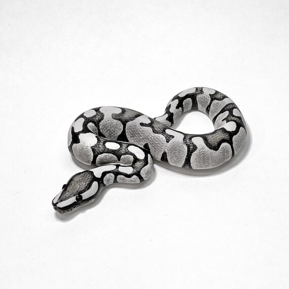 Axanthic Ball Python Miniature / Figurine / Sculpture / Snake - Etsy
