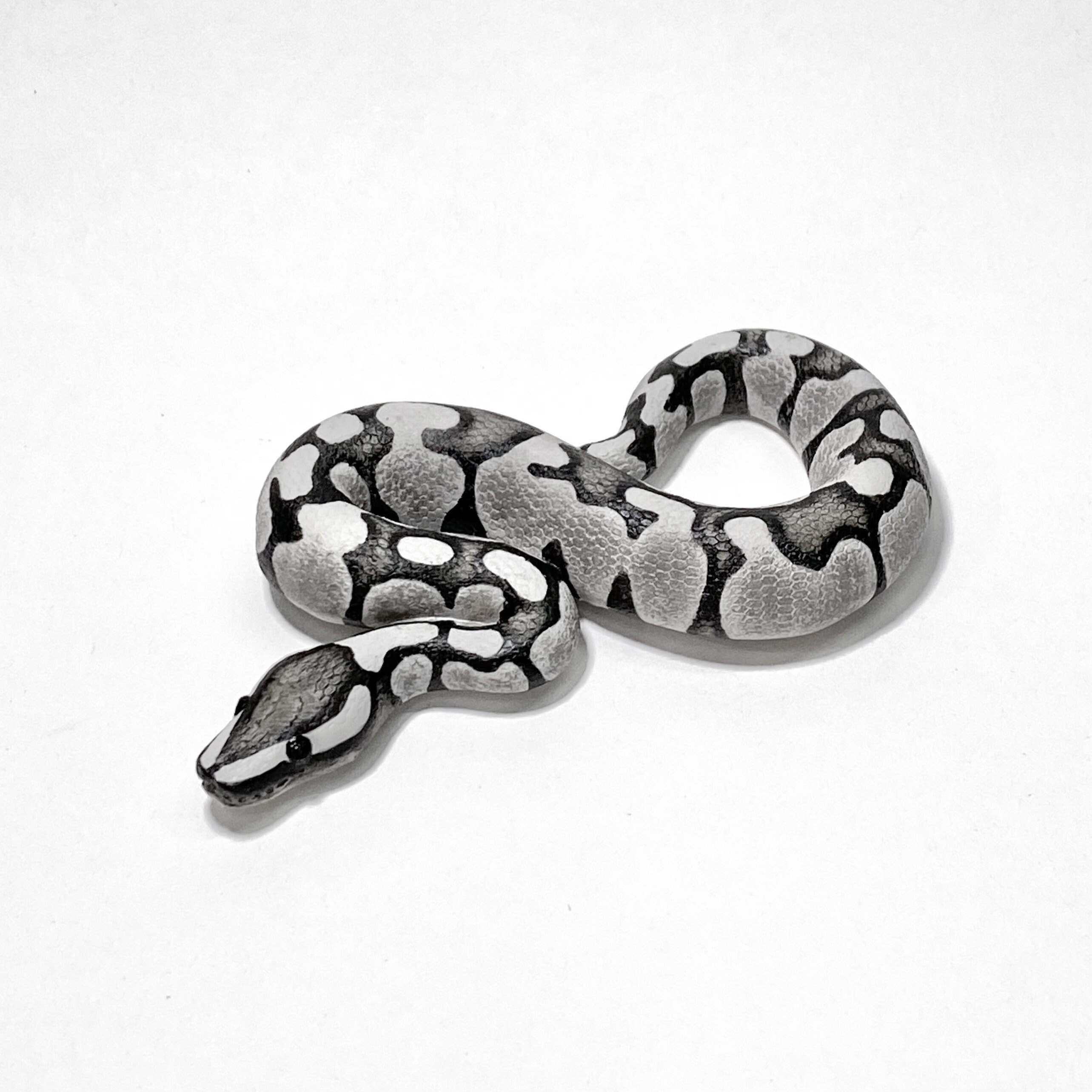 Axanthic Spider Ball Python