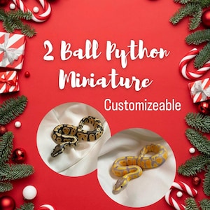 May include: Two ball python miniature figurines, one with a black and yellow pattern and the other with a yellow and gray pattern, are displayed on a red background with holiday decorations. The text reads "2 Ball Python Miniature Customizable."