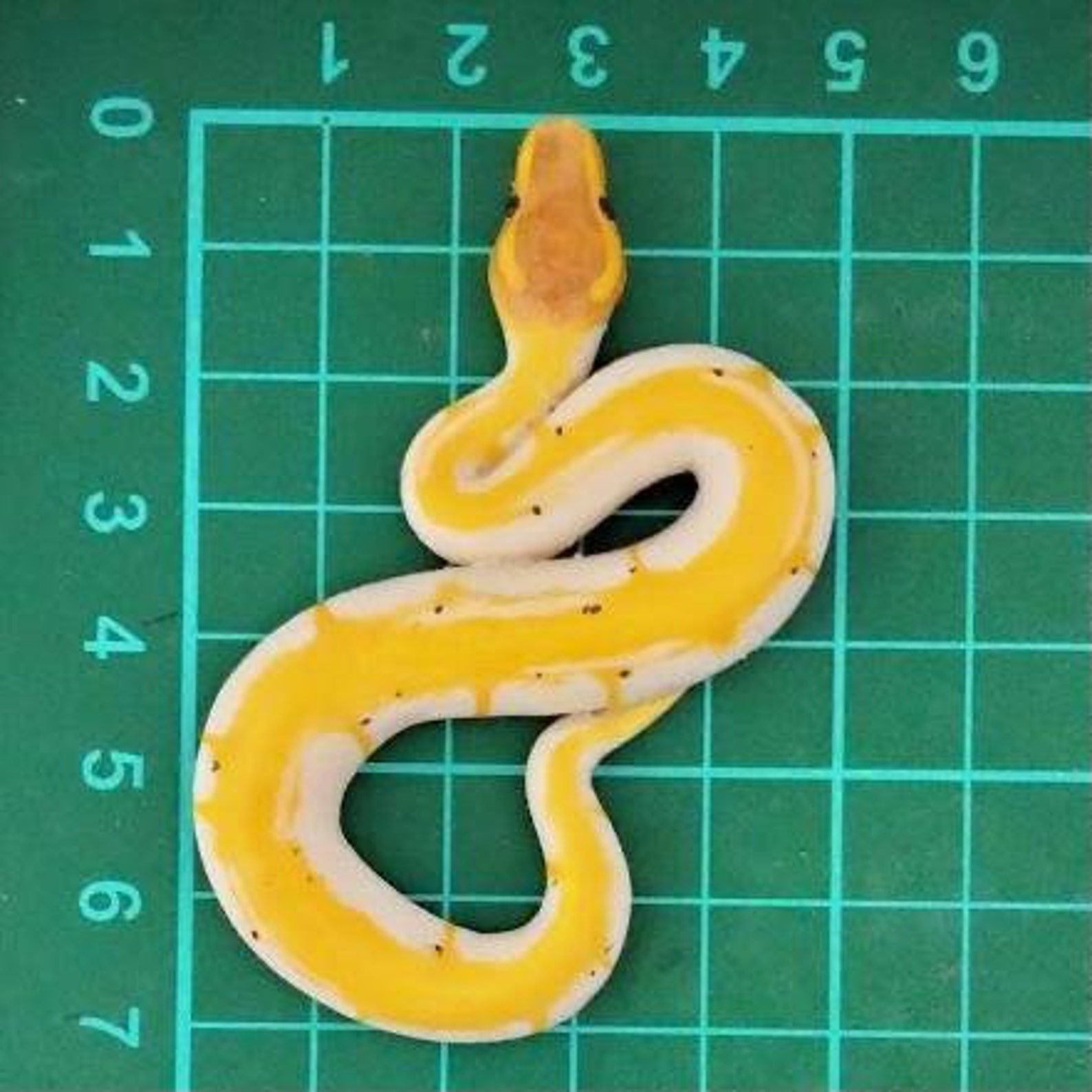 Customizable Ball Python Miniature // Ball Python Figure // | Etsy